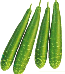DCS Green